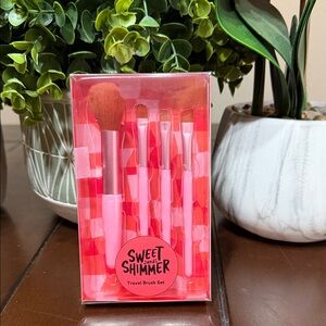 Pink Travel Brush Set.